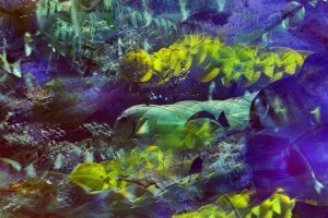 StudioArtistScreenSnapz2226.jpg.scaled1000-300×200
